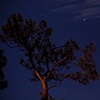 Night Sky