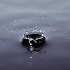 Splash