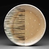 Dinner Plate