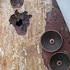 Lending Beauty, Detail