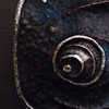 Erosion Belt Buckle