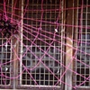 Untitled (Spider and Web)