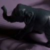 Elephant #2