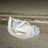 Brooklyn Bags #5