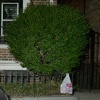 Brooklyn Bags #7