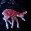 Oh Deer! 