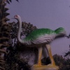 Ostrich