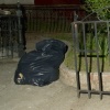 Brooklyn Bags #3