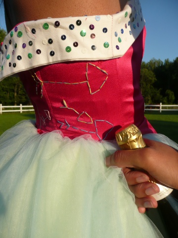 MTV Prom Dress Back