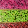 Spectrum Series