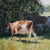 Brown Cow