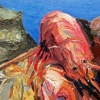 Lobster on the Rocks