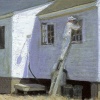 Series Paintings