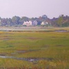 Quonni Salt Marsh