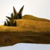 Land Shelf