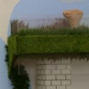 Tree Feet (detail)