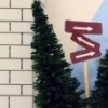 Tree Feet (detail)