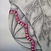 Untitled (detail)