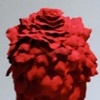 Rose Feet