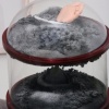 Containment (detail)