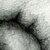 Excernere (detail 2)