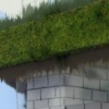 Tree Feet (detail)
