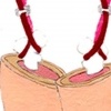 Cernere #3 (detail 1)