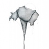 WORKS ON PAPER