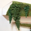 Land Shelf (detail 2)