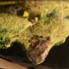 Twin (detail)