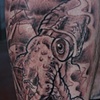 Squid