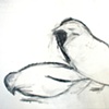 Two Birds