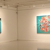 Installation photo: "Nesting," Fox Gallery, MICA