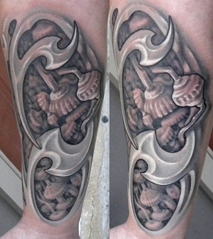 Scott gears/Biomech