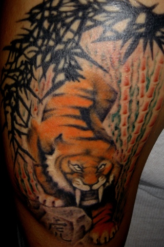 sabertooth tiger