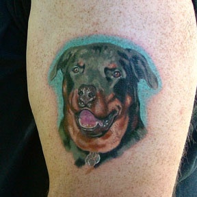Rotty