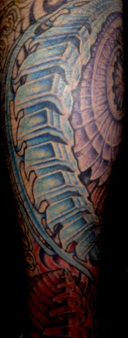 roblue leg