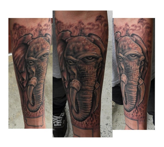 Elephant triclops