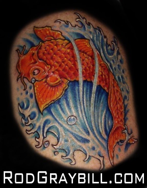 Koi 