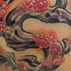 Tori-  tuff chick first tattoo, fun piece
