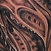 biomech