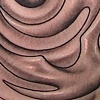 Curvy bio stuff
