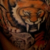 sabertooth tiger