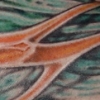 Brian Johnsons leg