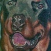 Rotty