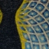 Julie neck