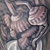 Scott gears/Biomech