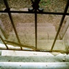 Screen Door of Gutted House, Lower Ninth