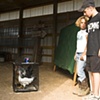 Washburn County Fair, Hayward, WI