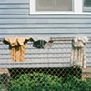 Drying laundry in the Marigny